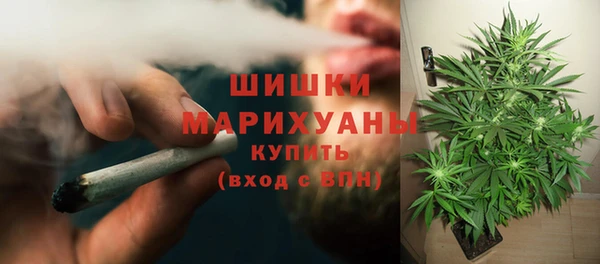индика Абдулино