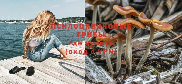 герыч Абаза