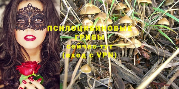 индика Абдулино