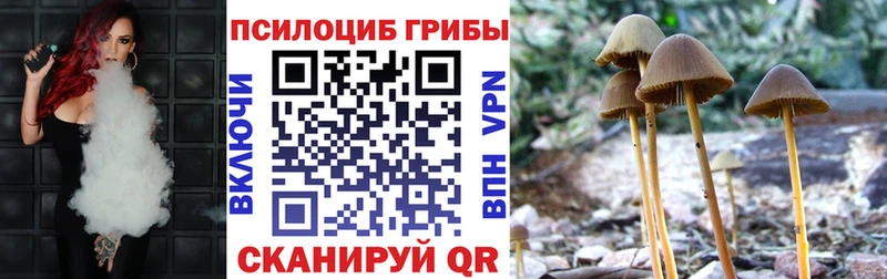 где продают   дарк нет Telegram  Псилоцибиновые грибы Psilocybine cubensis  Новотроицк 