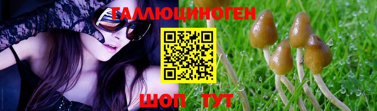 Галлюциногенные грибы Magic Shrooms  Вход с VPN  Новотроицк 